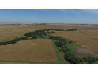 Property photo 4 - REAL ESTATE AUCTION - 296+/- ACRES OFFERED IN 2 TRACTS IN WOODS COUNTY, OKLAHOMA